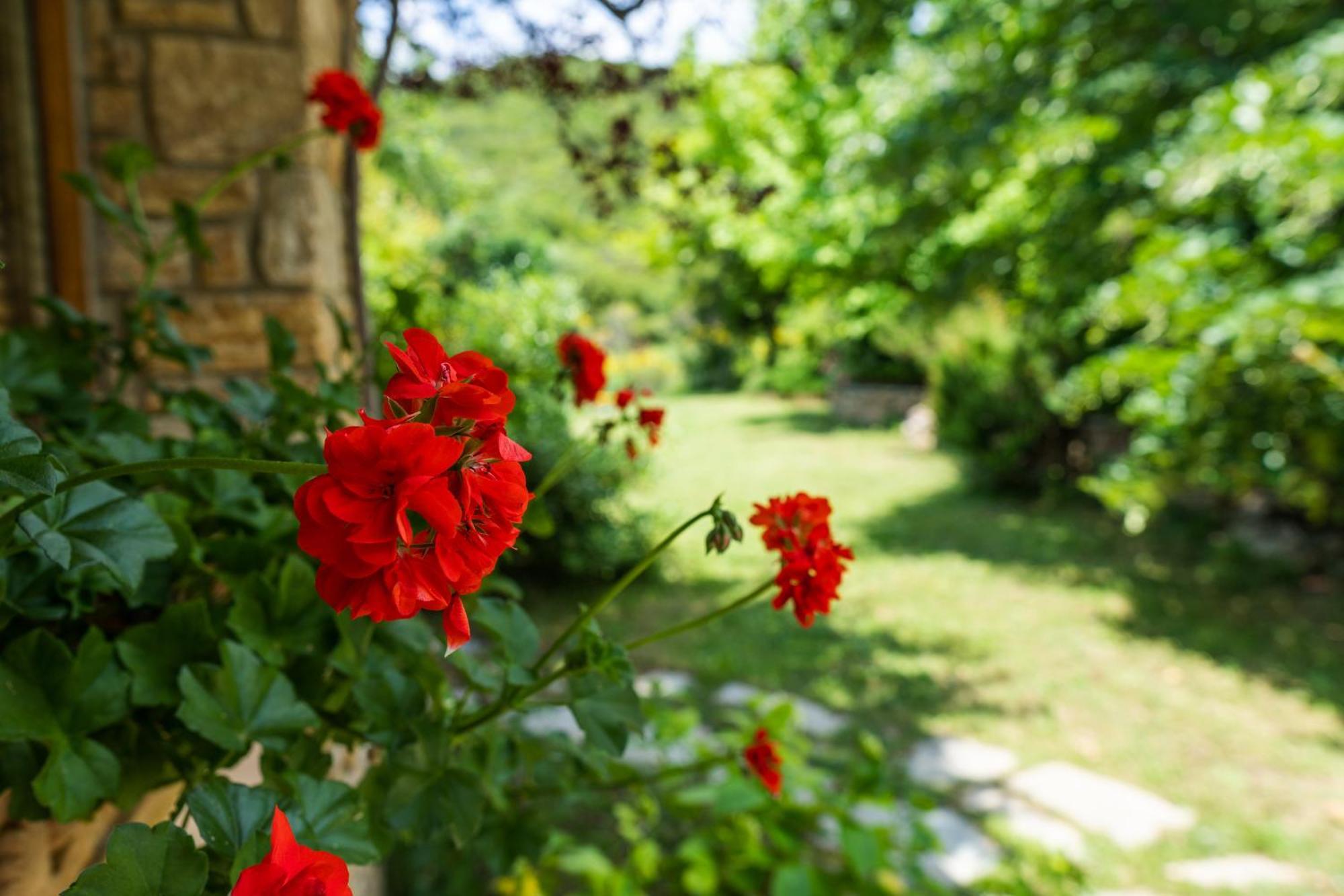Country Cottage I & Country Cottage II Polygyros Екстер'єр фото